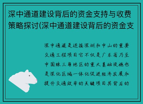 深中通道建设背后的资金支持与收费策略探讨(深中通道建设背后的资金支持与收费策略探讨论文)